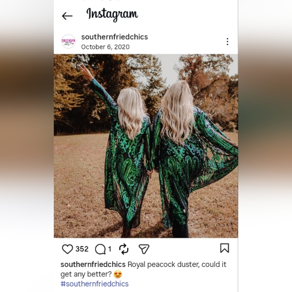 Green Sequin Duster - image 1